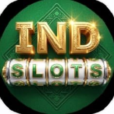 IND Slots game icon